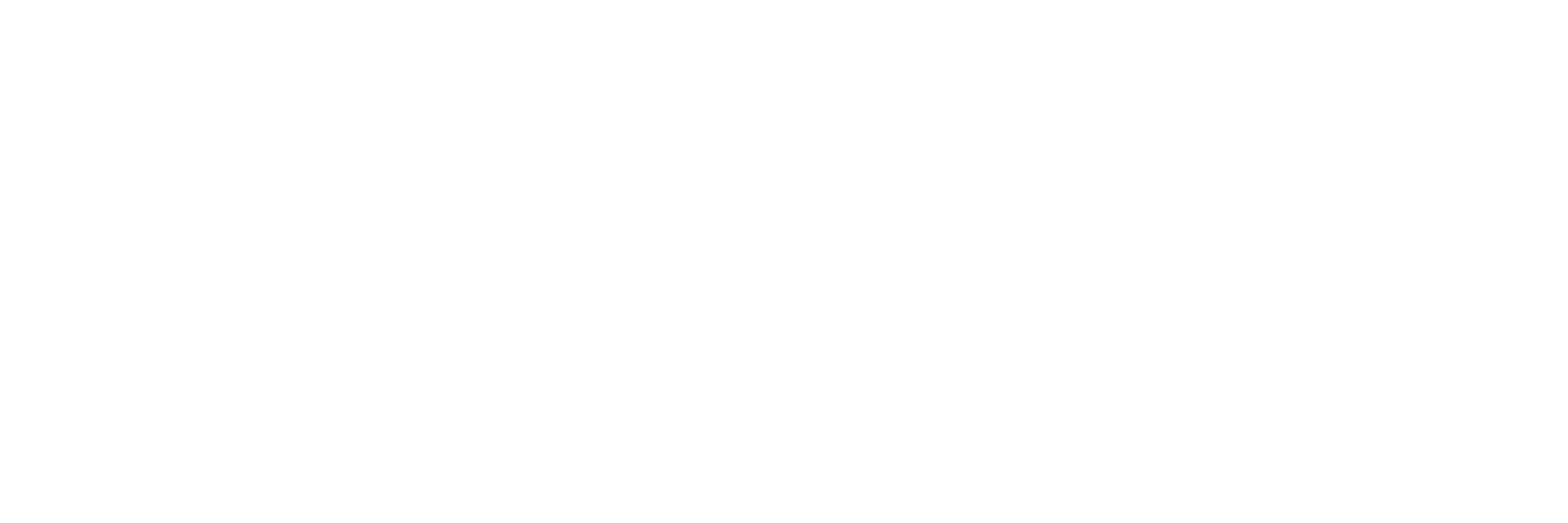 PARM — ProActive Risk Management